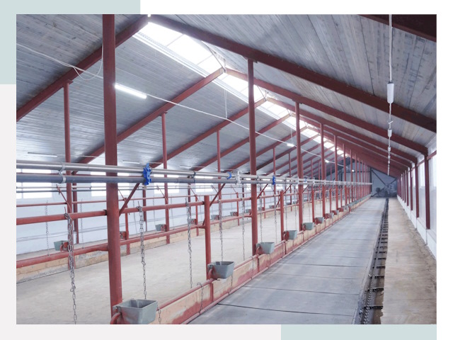 Строительство коровников в Кондопоге от 609 руб.