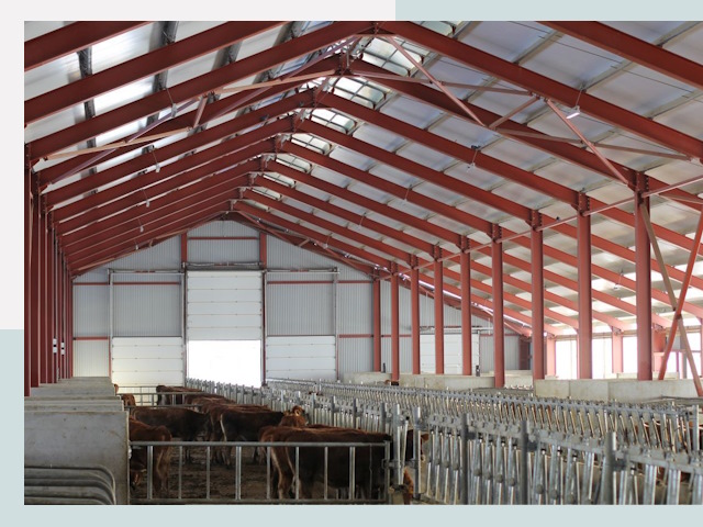 Строительство коровников в Кондопоге