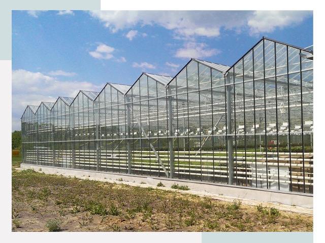 Строительство теплиц в Кондопога от 609 руб. за м²