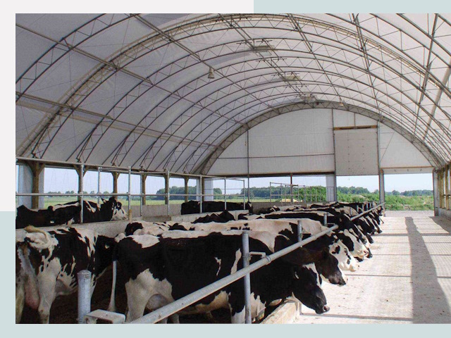 Тентовые коровники в Кондопоге